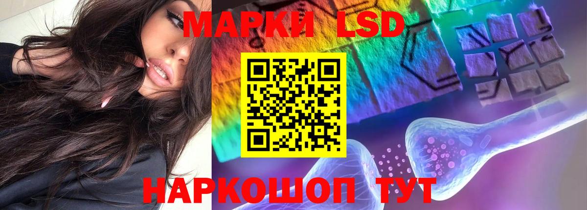 ОМГ ОМГ зеркало  LSD-25 экстази  LSD-25 экстази кислота  Новошахтинск  Вход с VPN  LSD-25 экстази кислота 