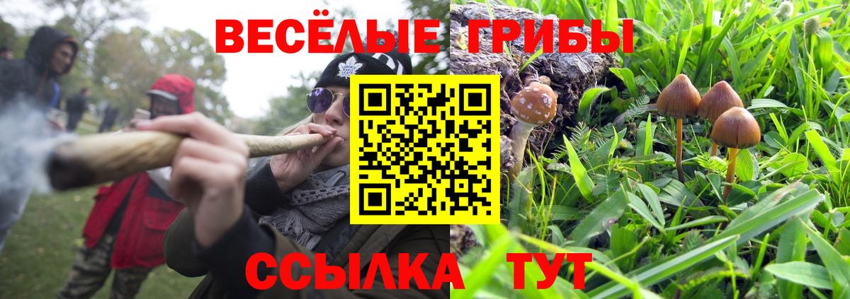 Галлюциногенные грибы прущие грибы Новошахтинск