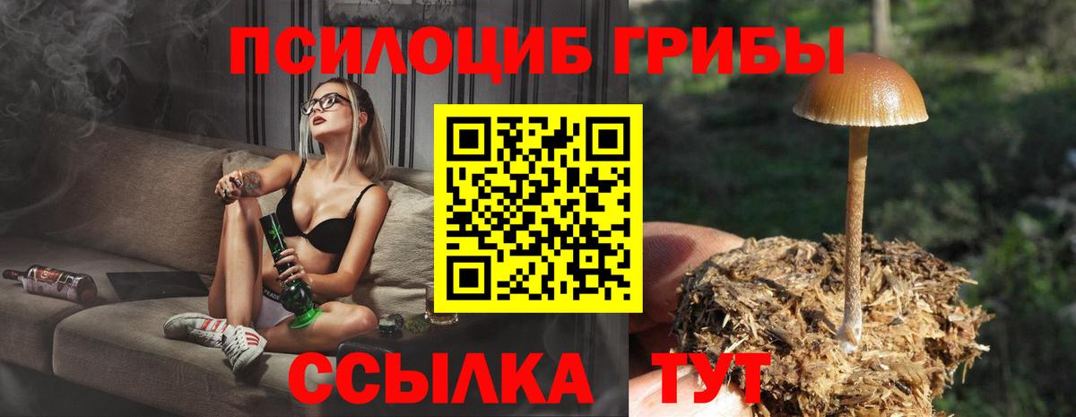 A PVP СК кристаллы  Амфетамин   Кокаин  Новошахтинск  Канабис  ЭКСТАЗИ  ГАШИШ  Мефедрон кристаллы  Вход с VPN 