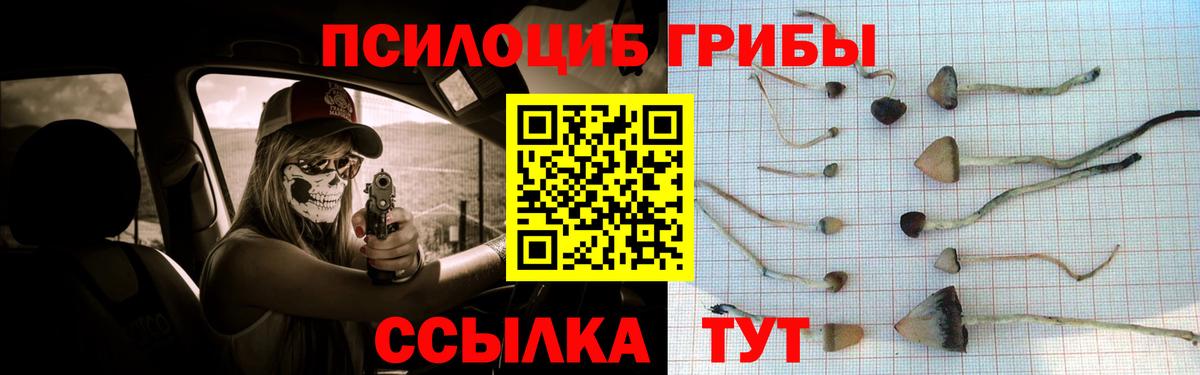 Псилоцибиновые грибы MAGIC MUSHROOMS  Вход с VPN  Галлюциногенные грибы мицелий  Новошахтинск 